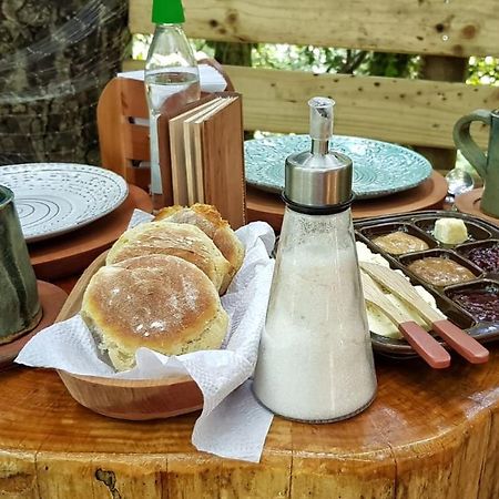 Cabanas Bosques De Loncotraro Hotel Villarrica Zewnętrze zdjęcie