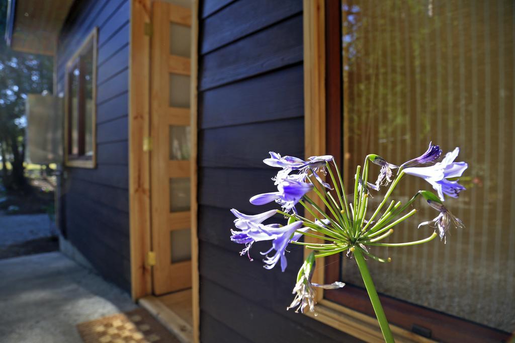 Cabanas Bosques De Loncotraro Hotel Villarrica Zewnętrze zdjęcie