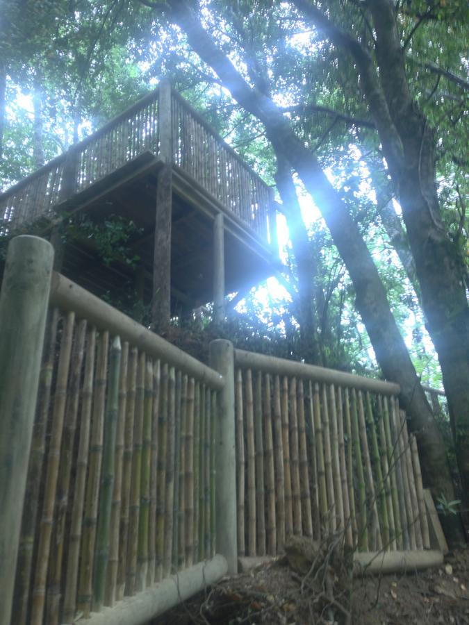 Cabanas Bosques De Loncotraro Hotel Villarrica Zewnętrze zdjęcie