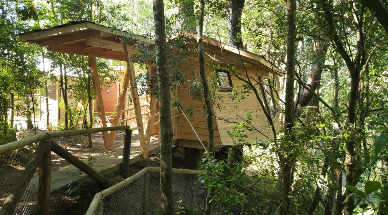 Cabanas Bosques De Loncotraro Hotel Villarrica Zewnętrze zdjęcie