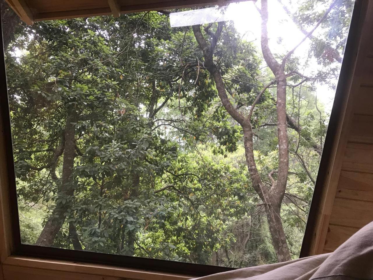 Cabanas Bosques De Loncotraro Hotel Villarrica Zewnętrze zdjęcie