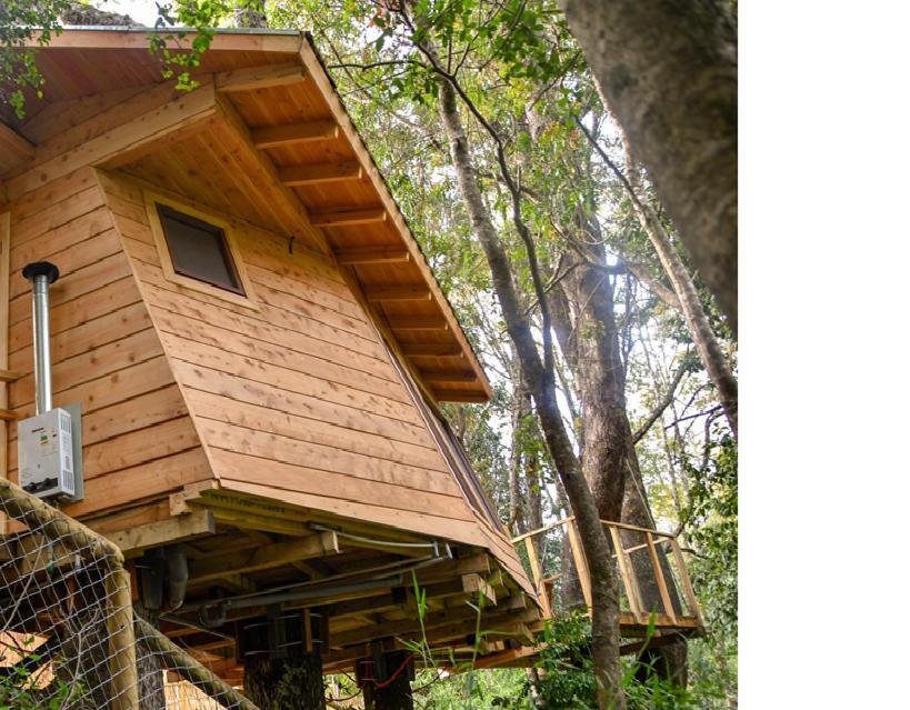 Cabanas Bosques De Loncotraro Hotel Villarrica Zewnętrze zdjęcie