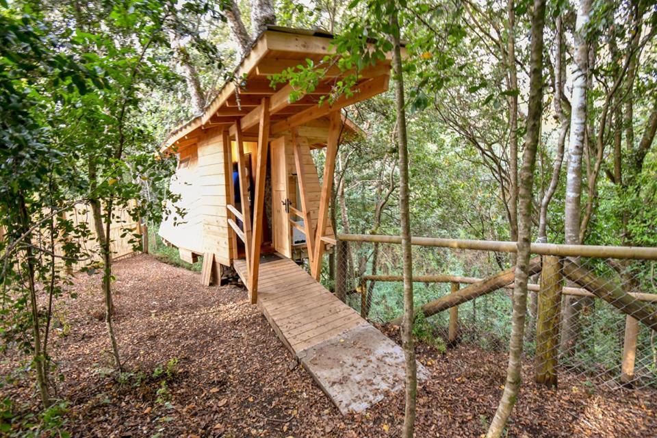 Cabanas Bosques De Loncotraro Hotel Villarrica Zewnętrze zdjęcie
